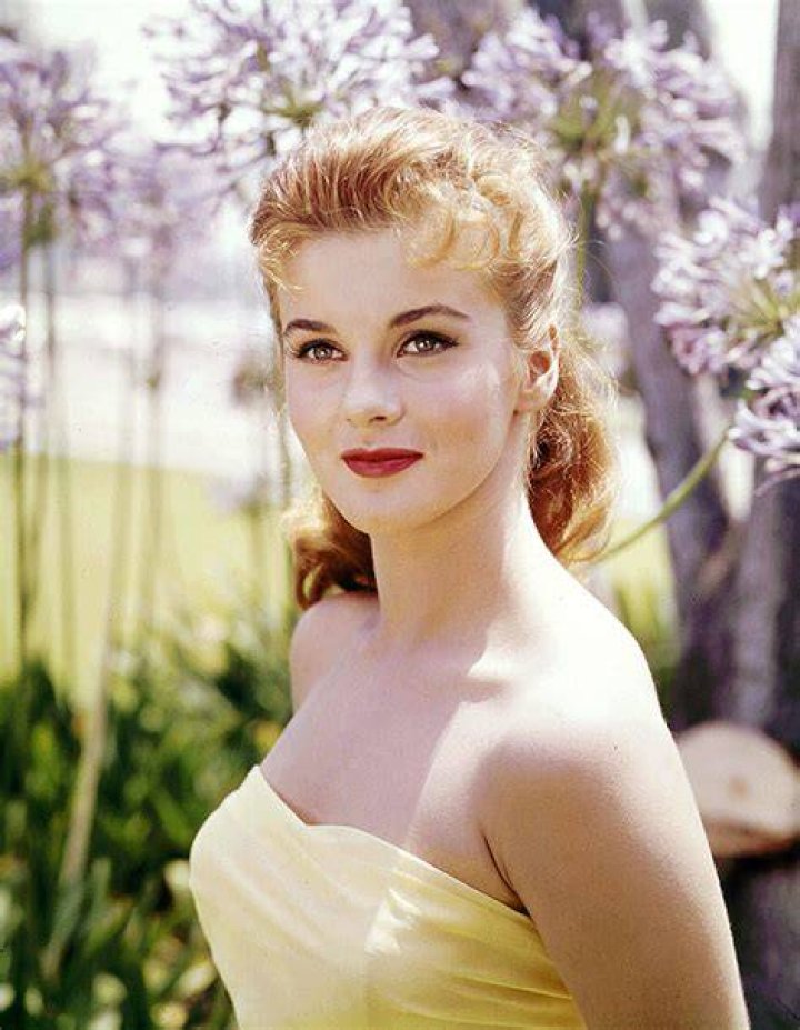 Ann-Margret's Love Story: A Timeless Discovery