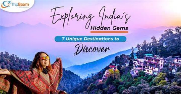 Discover The Hidden Gems And Untold Stories Of Vanessa Pond