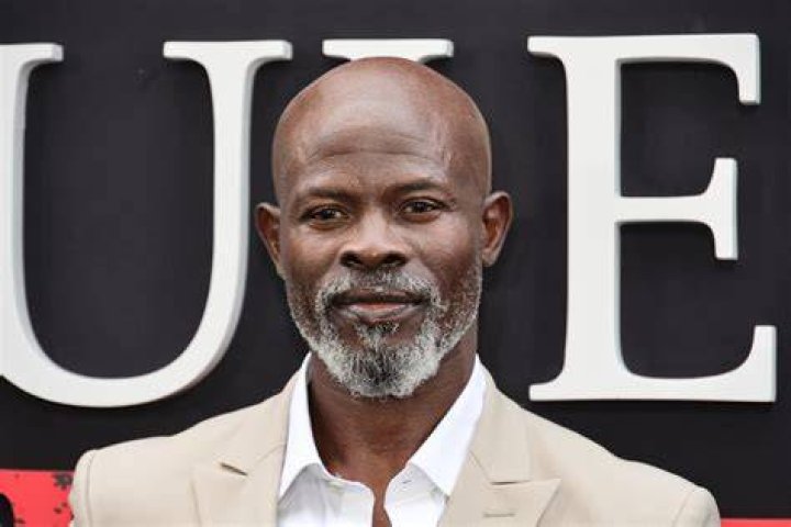 Exploring Djimon Hounsou's Net Worth