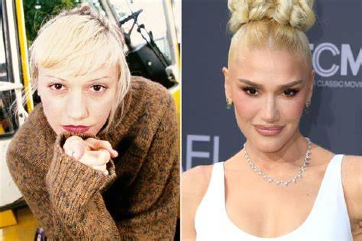 Gwen Stefani’s Latest Throwback With Blake Shelton Is Dividing Fans
