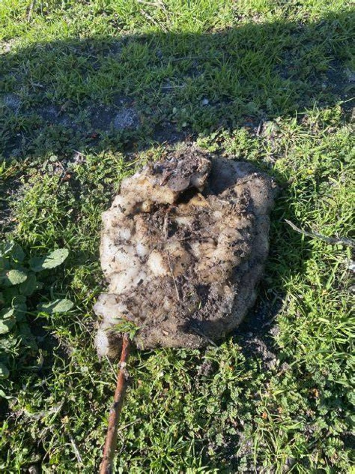Identifying Those Who Question Dirt Like A Hawk