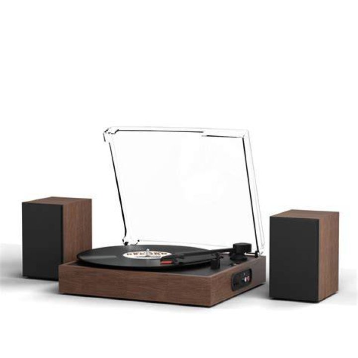 Master LP Height In Cm For Perfect Playback