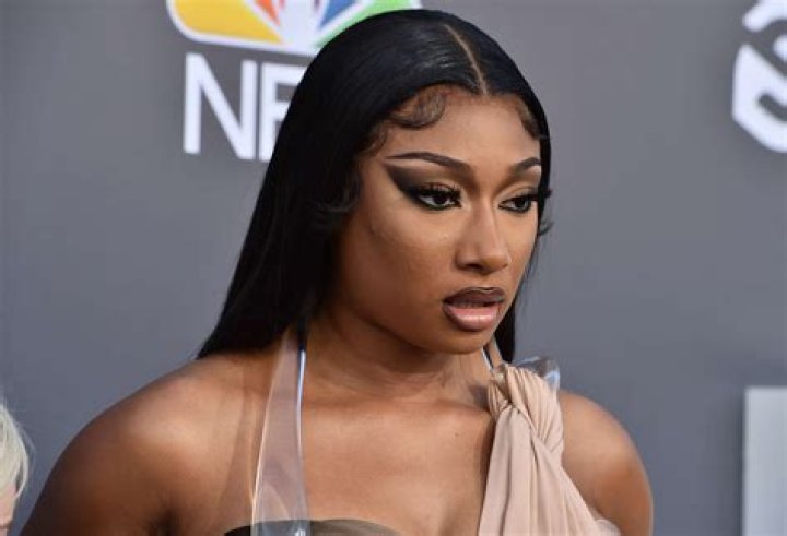 Megan Thee Stallion's Pregnancy Journey