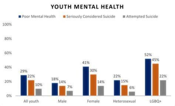 Sean McGee's Death And The Mental Health Crisis