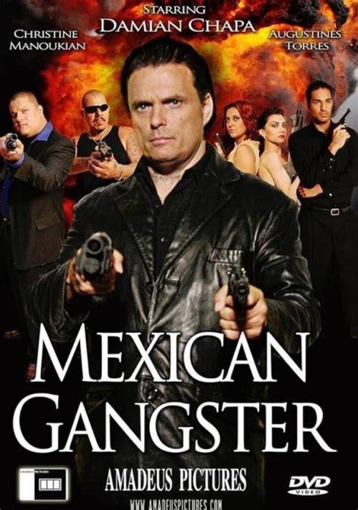 Unveiling The Gritty World Of Mexican Gangster Movies: Discoveries And Insights