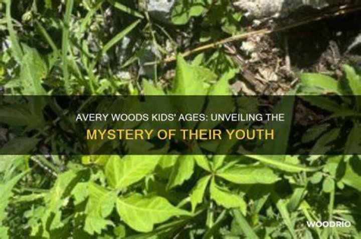 Unveiling The Mystery: Is Avery Shoaf Hitched?